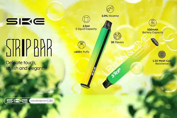 Article cover for Why Choose SKE Strip Bar? Top Benefits Explained
