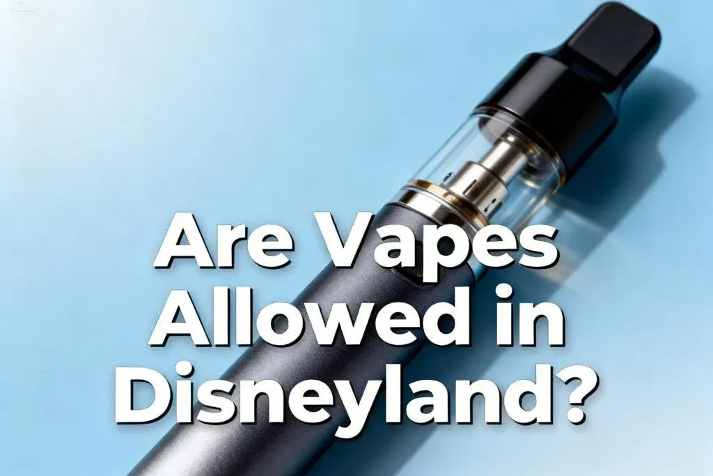Are Vapes Allowed in Disneyland?