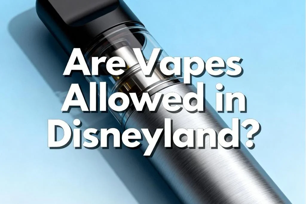 Are Vapes Allowed in Disneyland-2