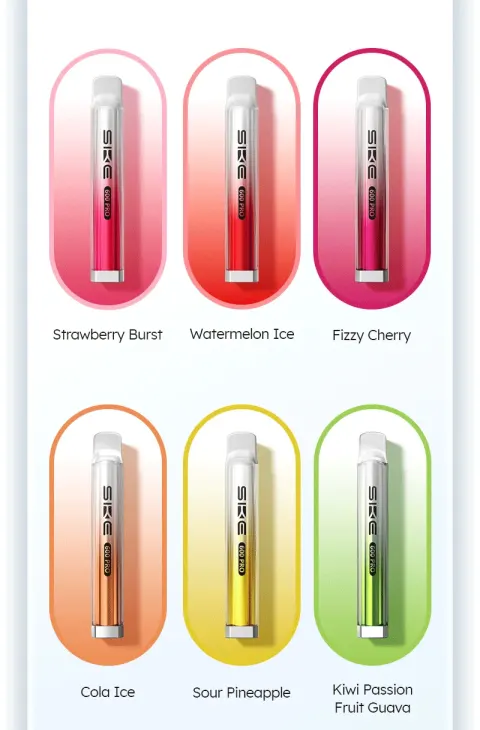 SKE 600 PRO detail 8
