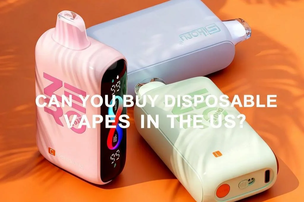 Can You Buy Disposable Vapes in the US?-1