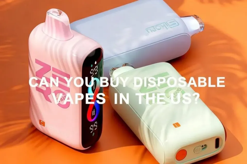 Can You Buy Disposable Vapes in the US? Can You Buy Disposable Vapes in the US?-1