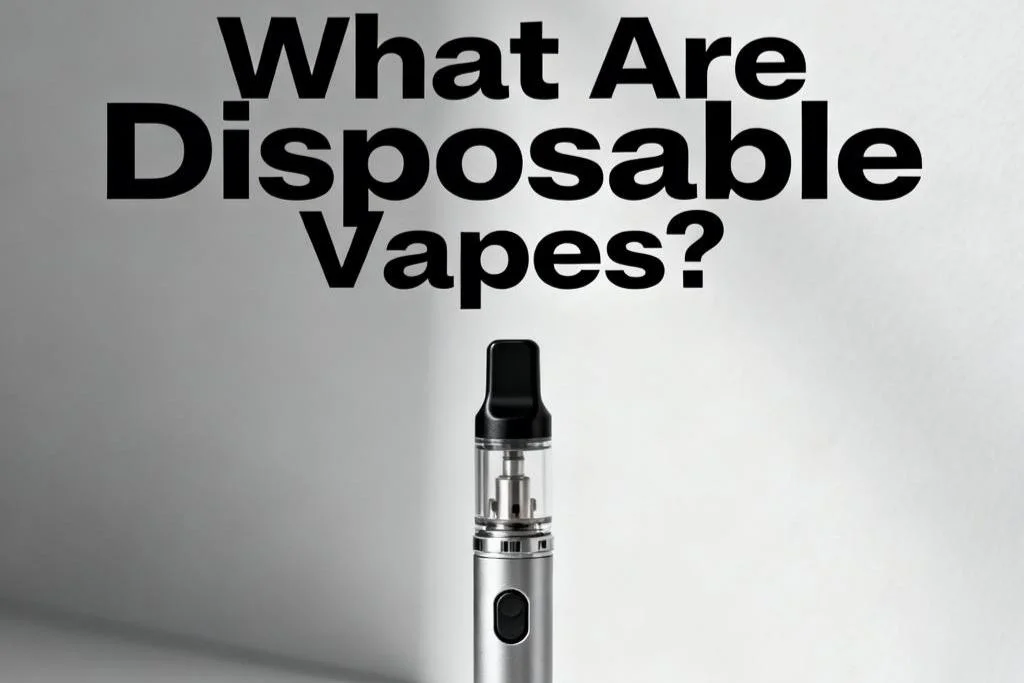 What Are Disposable Vapes?-2