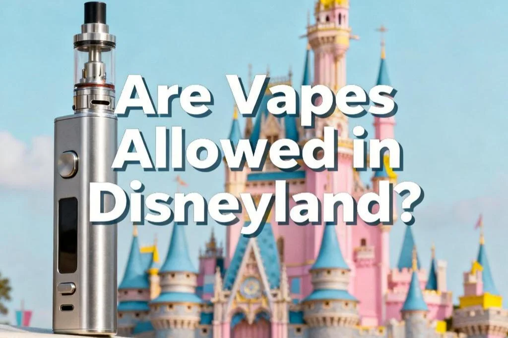 Are Vapes Allowed in Disneyland?