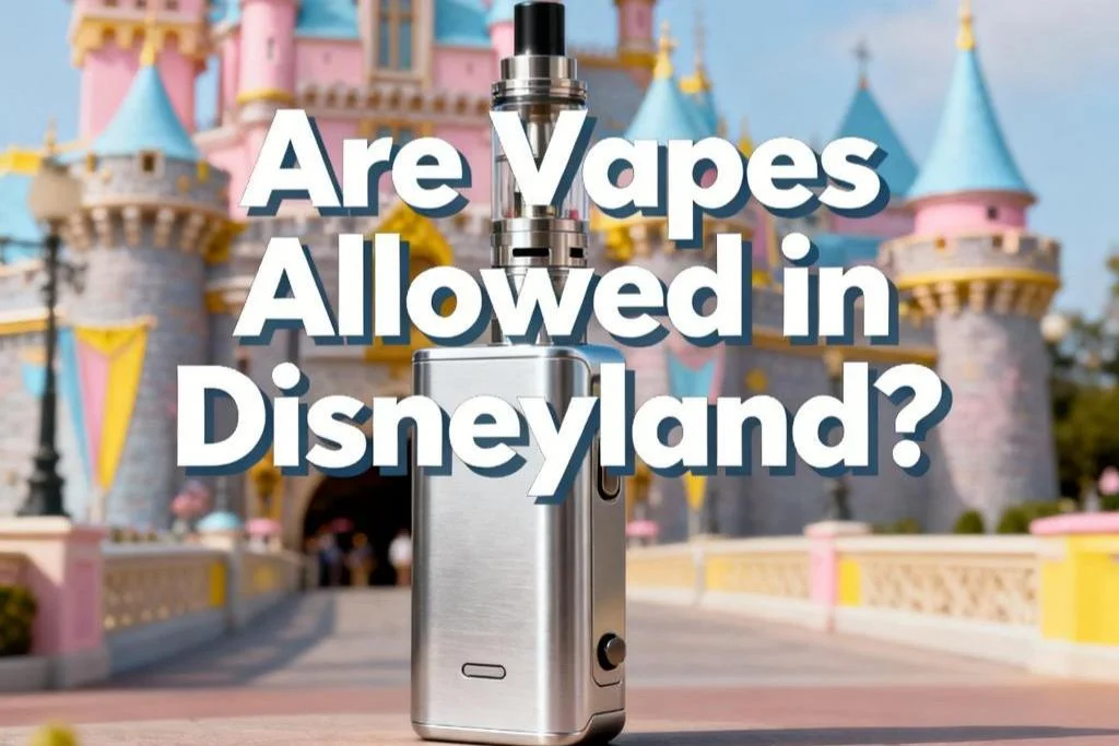 Are Vapes Allowed in Disneyland?-1