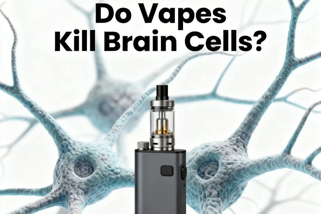 Do Vapes Kill Brain Cells? What the Science Actually Says